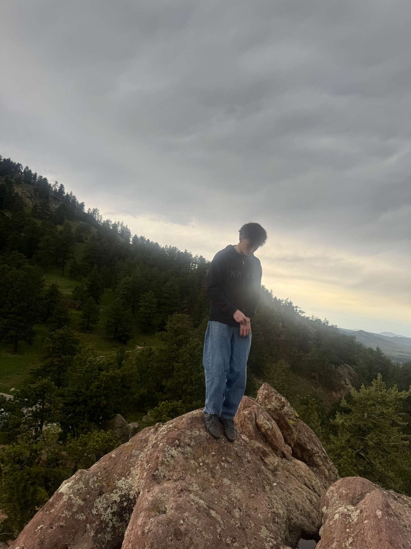 Split Text Full Zip Sweatshirt